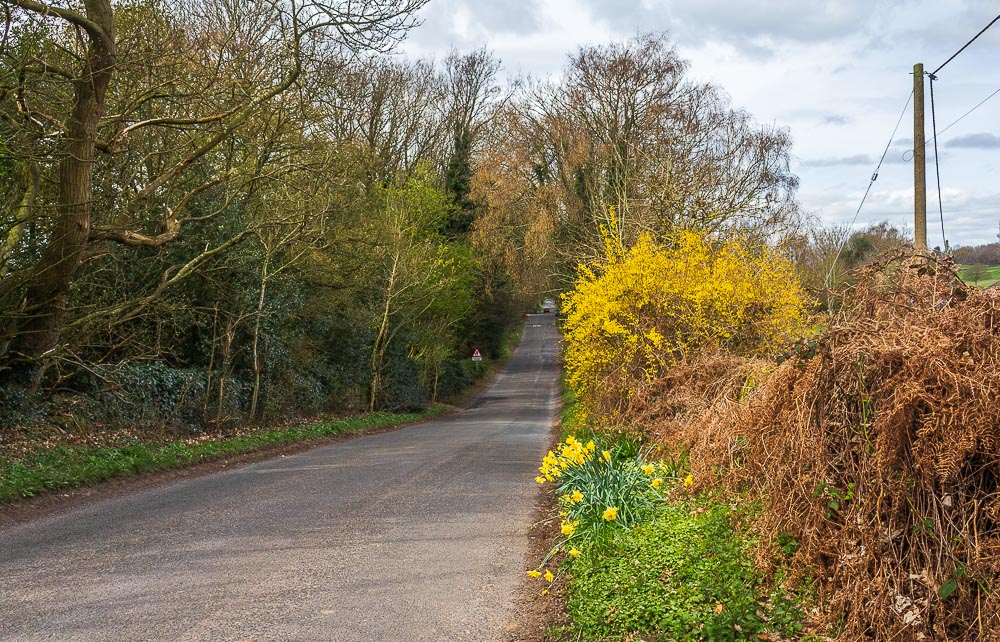 Morley Lane Morley Lane